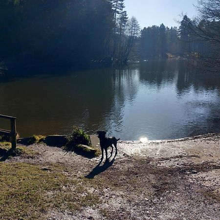 The Bungalow, Forest Of Dean Coleford  Luaran gambar