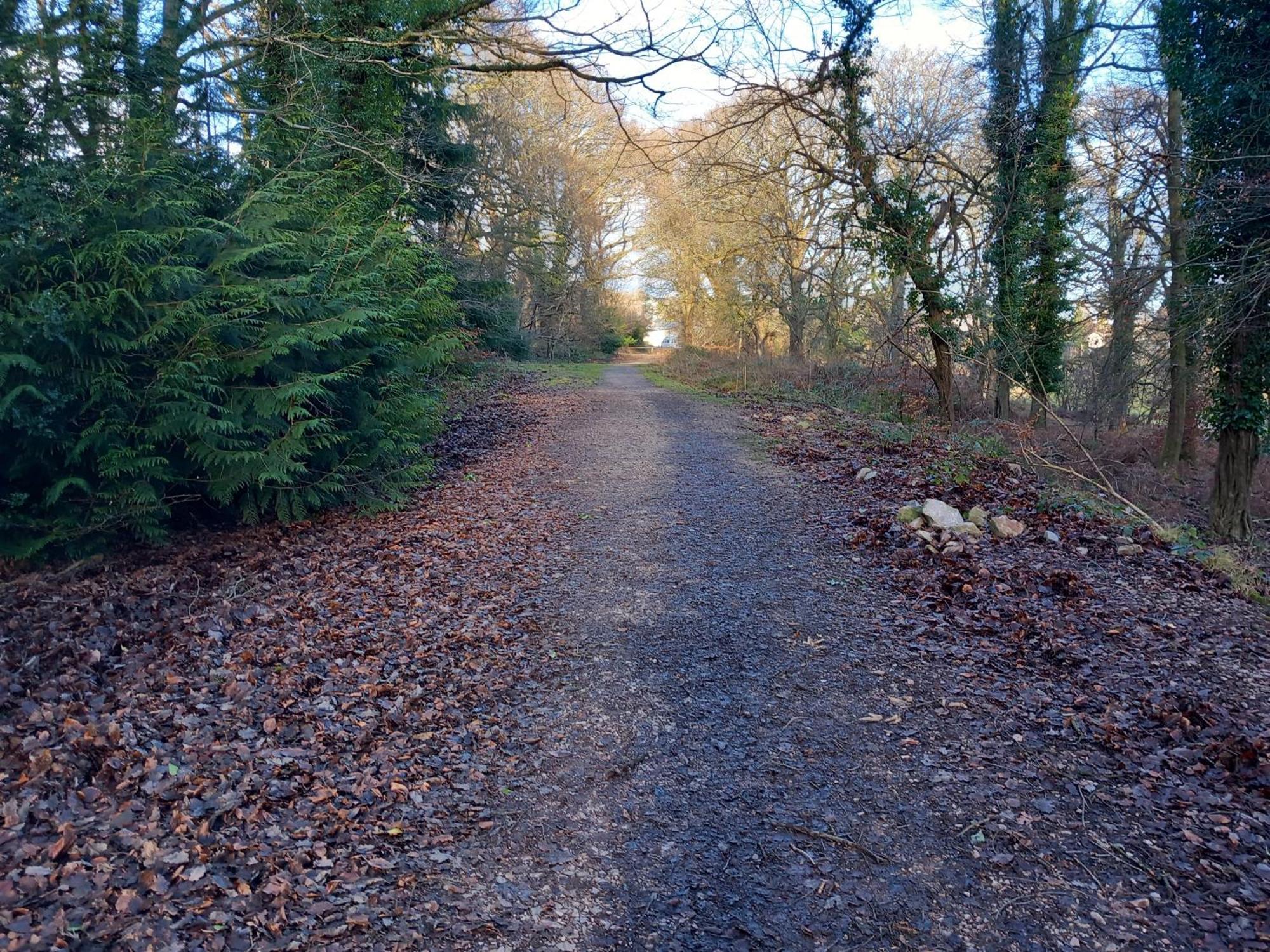 The Bungalow, Forest Of Dean Coleford  Luaran gambar