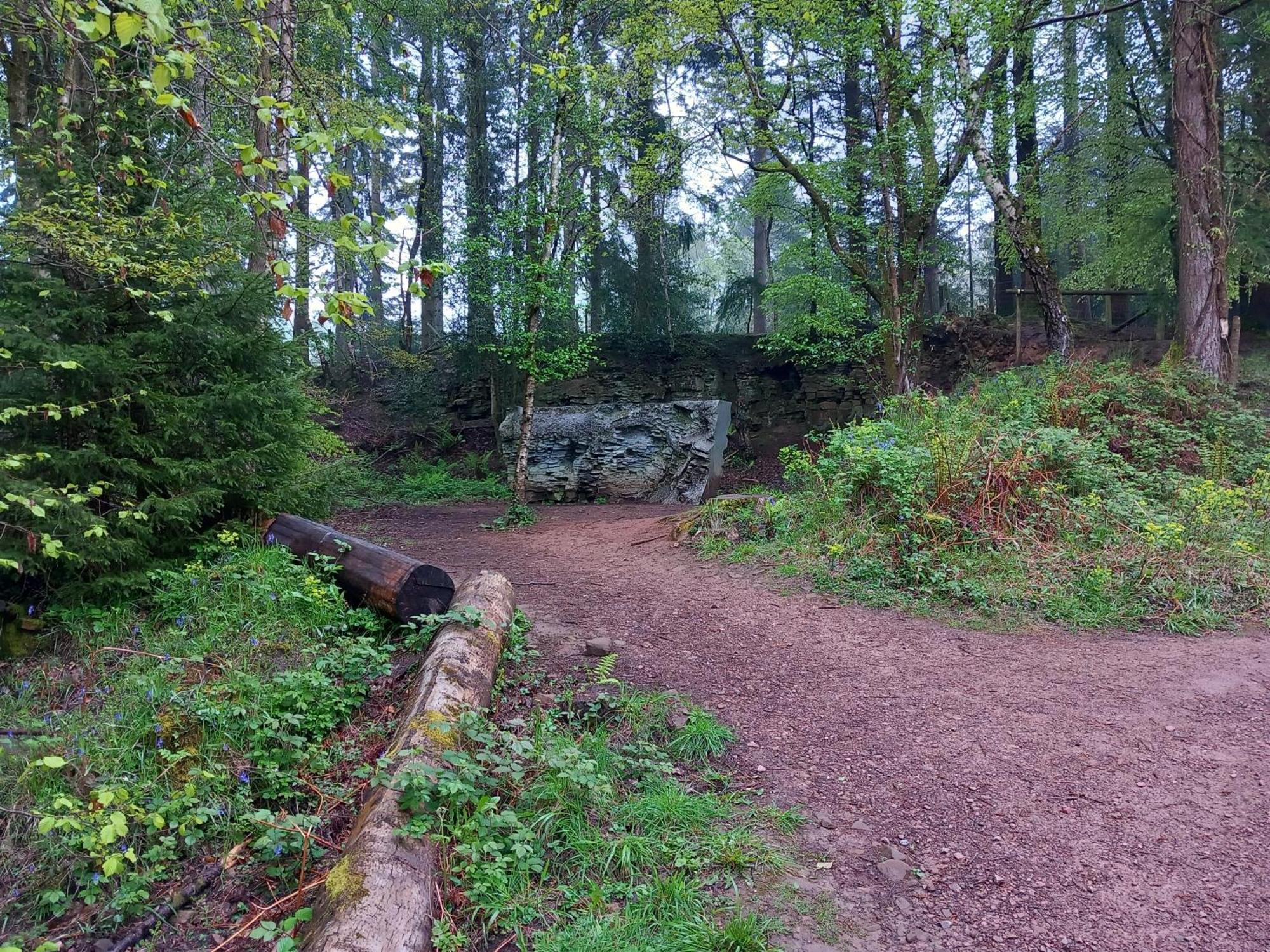 The Bungalow, Forest Of Dean Coleford  Luaran gambar