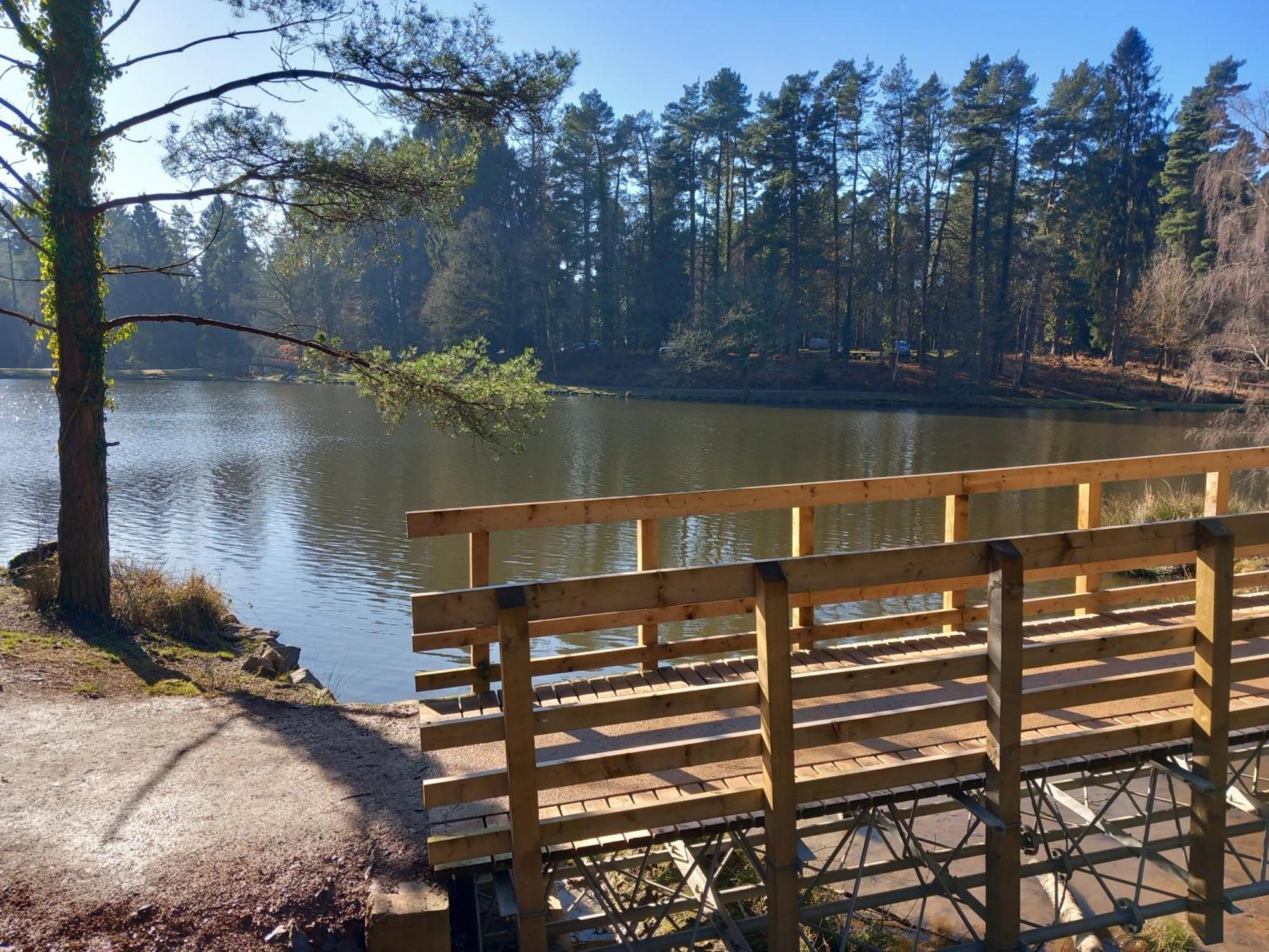 The Bungalow, Forest Of Dean Coleford  Luaran gambar